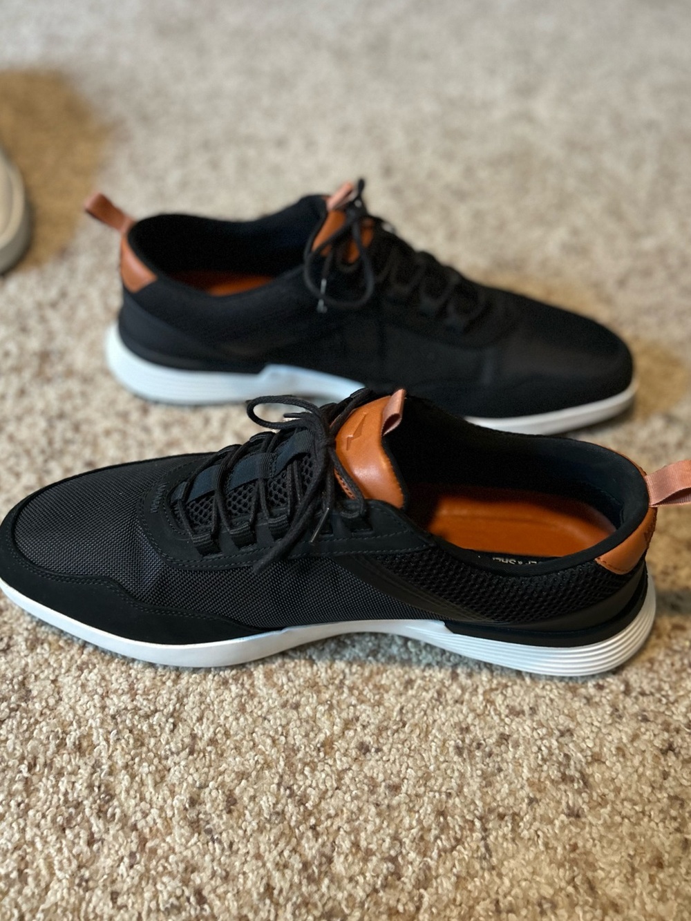 Wolf & Shepherd Crossover Victory Trainer Sz14 NEW